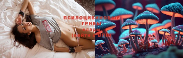 Альфа ПВП Арсеньев