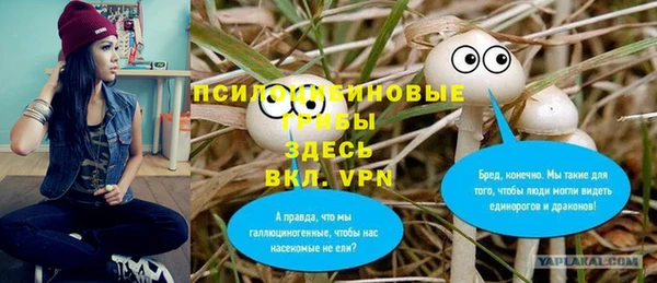 Альфа ПВП Арсеньев